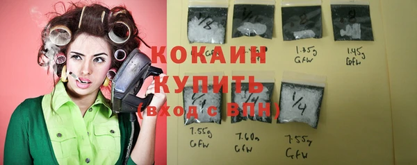 гашик Няндома