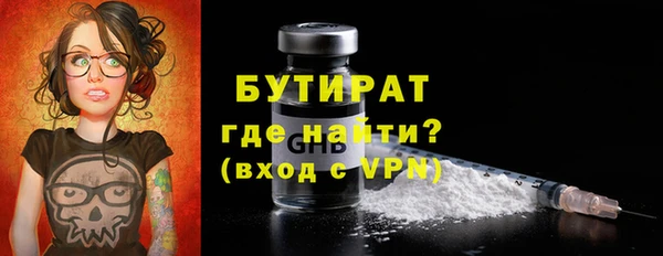 гашик Няндома
