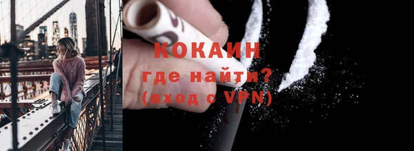 гашик Няндома