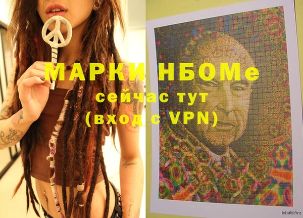 гашик Няндома