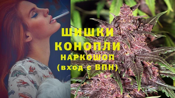гашик Няндома