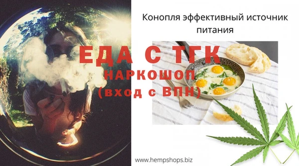 гашик Няндома