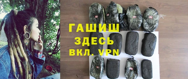 гашик Няндома