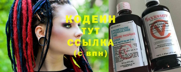 хмурый Нягань
