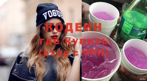 гашик Няндома