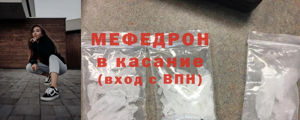 гашик Няндома